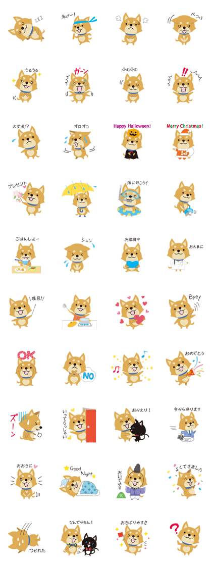 Kyoto Animal Welfare Center, Kyo-chan