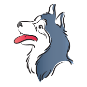 Blue husky