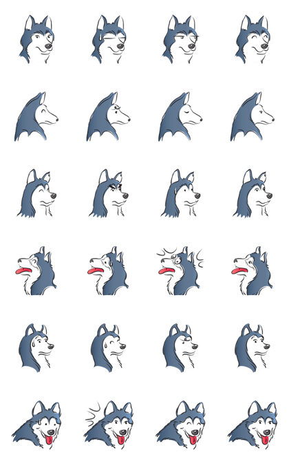 Blue husky