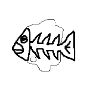 Frequently used glass fish