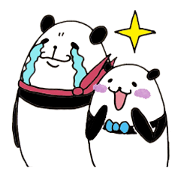 panda cute and passion