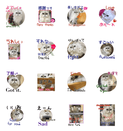 Stylish Persian cat Riki(English ver.)