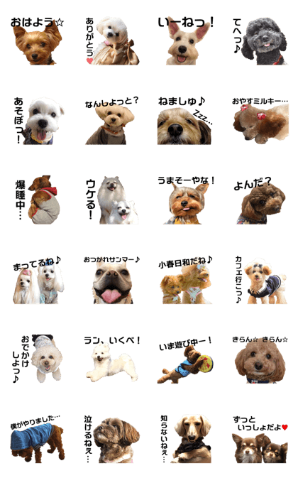 Ganta and dogs
