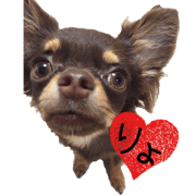 choco_k
