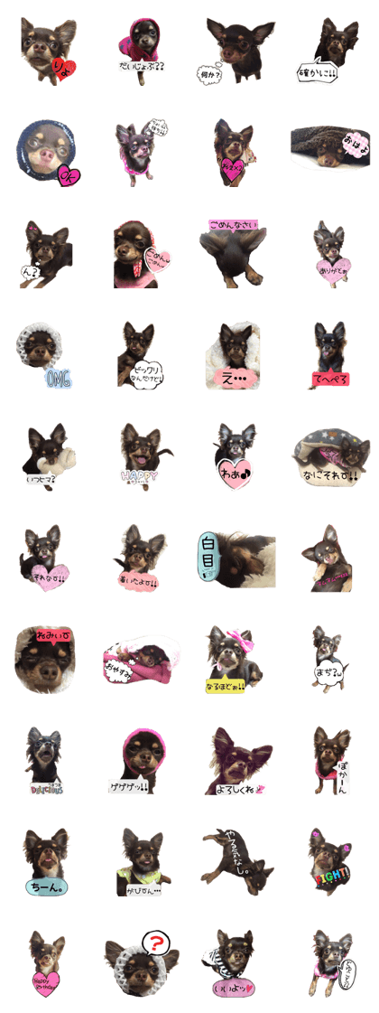 choco_k