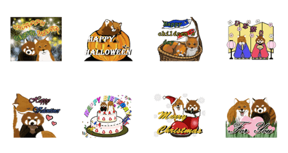 Red Fox & Red Panda's festivals(Japan)
