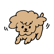 MOKO of a dog