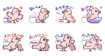 little pretty parakeet