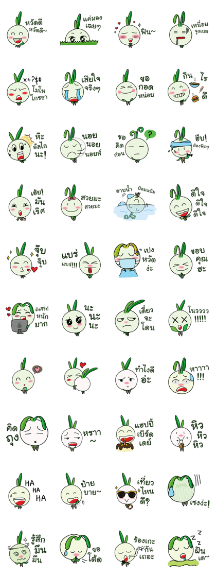 Lifestyle by Onion
