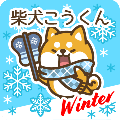 Shiba Koukun in Winter