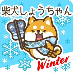 Shiba Shouchan in Winter