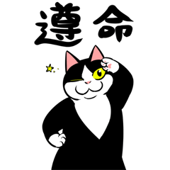 賓士貓Ohagi - 搞怪敬語篇
