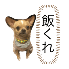 saya_20201108110218