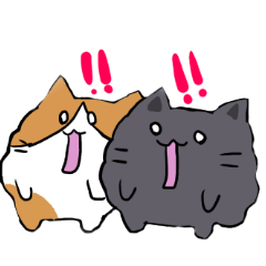 Odebu cats