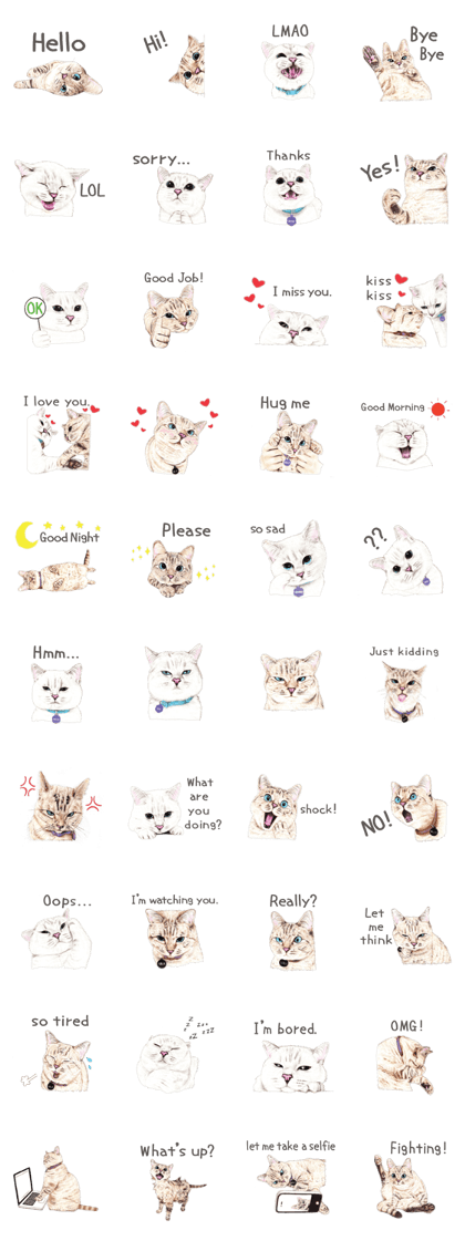Nala and White Coffee Cat (English)