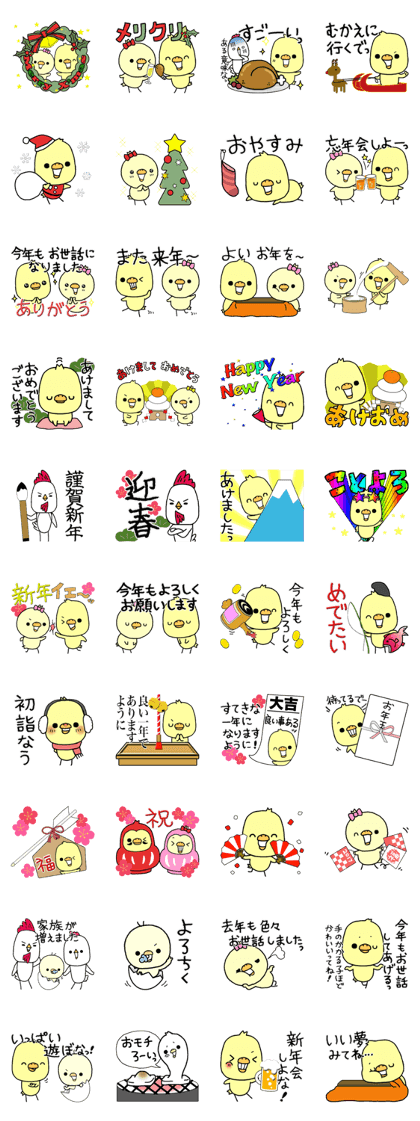 Chick of Naniwa5