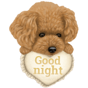 Toy Poodle & Toy Poodle. family