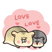 Hamsters mochi&black