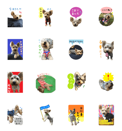 Sticker of a Yorkshire terrier4
