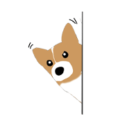 Corgi lolo