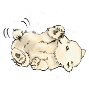 Cute Little Bears