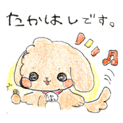 Takahashi's Toy poodle