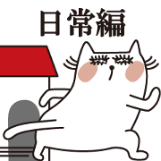 KIRAME CAT[Daily]
