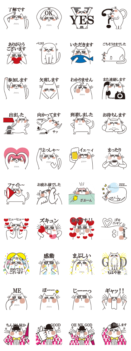 KIRAME CAT[Daily]