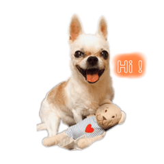 潘北鼻