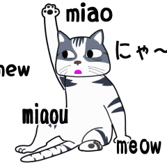 Animation sticker of funny cats