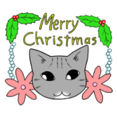 Christmas of shiitake cat