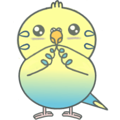 Budgerigar coco's Everyday language