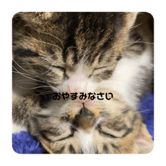 Kero_20201108155536
