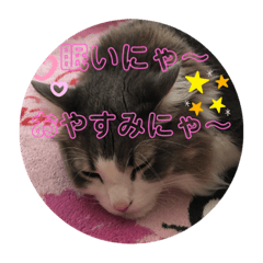 MIKI_20201108170143