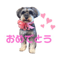 mimi&choco_