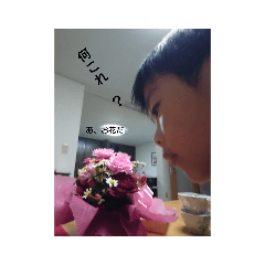 Aoi_20201108181556