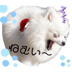 マルチーズ Lineクリエイターズスタンプまとめ Stamplist マルチーズ Lineクリエイターズスタンプまとめ Stamplist