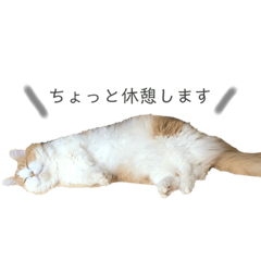nanana_20201108232017