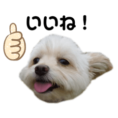 mizuki_20201108200241