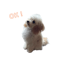 OmochI_20201108222959