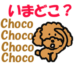 Sticker of dog "Choco"