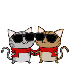 Sunglasses cat Ashver kitten Winter life