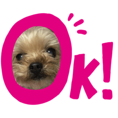 junko_20201109032250