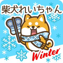 Shiba Reichan in Winter