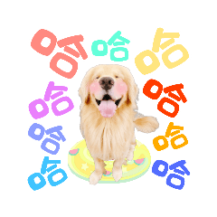 ❤️黃金Happy寶❤️