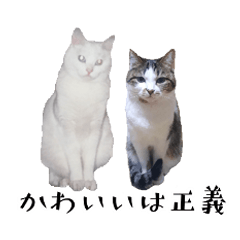 Cats Stamp Maru & Momoko 2