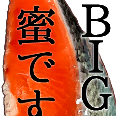 Salmon BIG Sticker-Buzzword Japanese2020