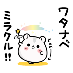 Hamster / Watanabe