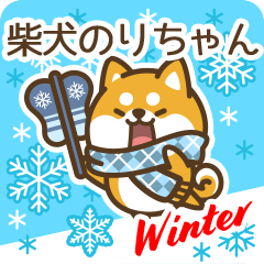 Shiba Norichan in Winter