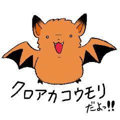 The rare animal "copper-winged bat"